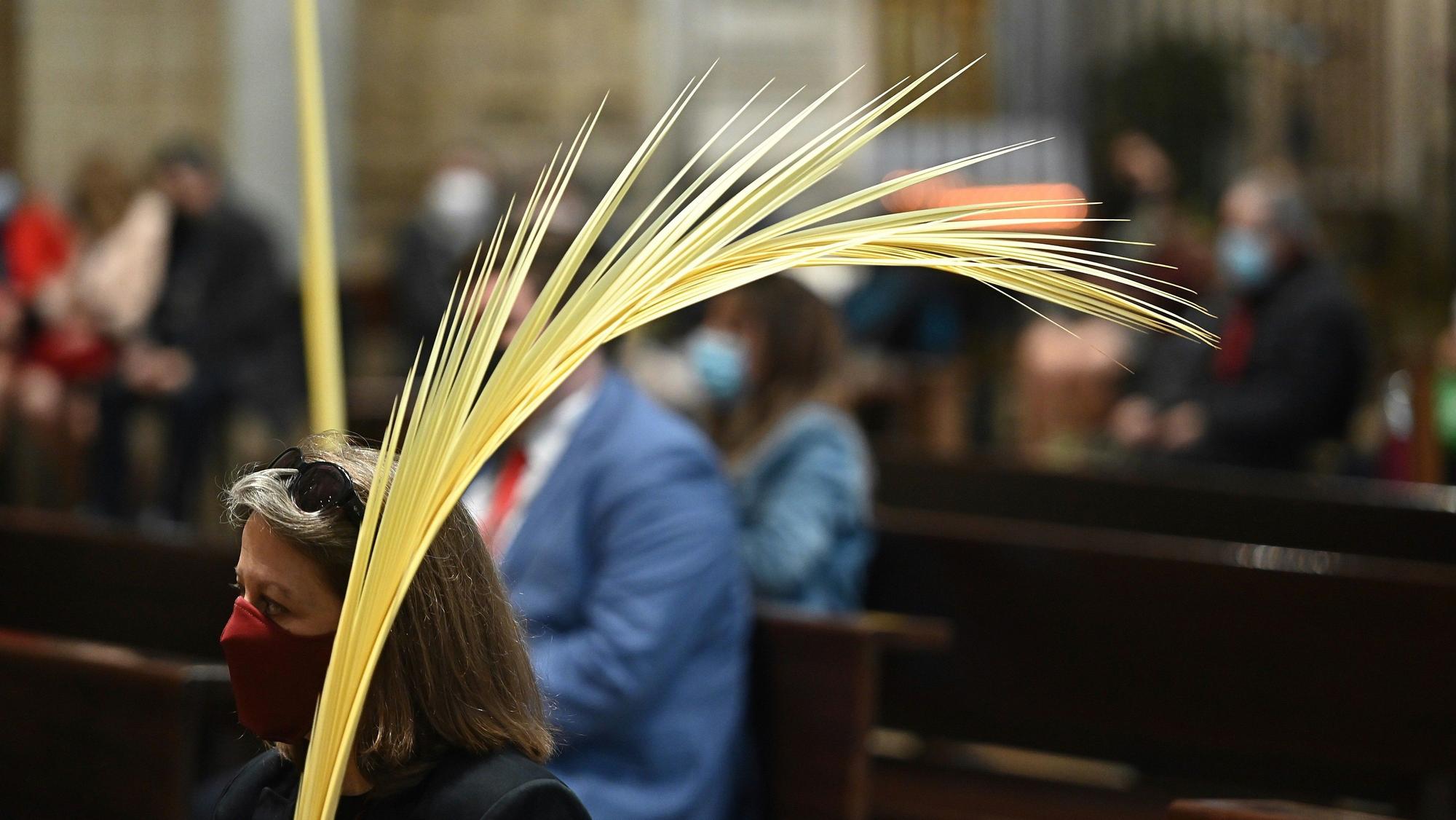 Celebración del Domingo de Ramos en Alcalá de Henares.