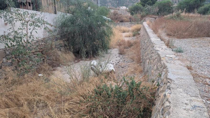 Los vecinos del Raiguero de Bonanza de Orihuela reclaman la limpieza de los barrancos ante el riesgo de dana
