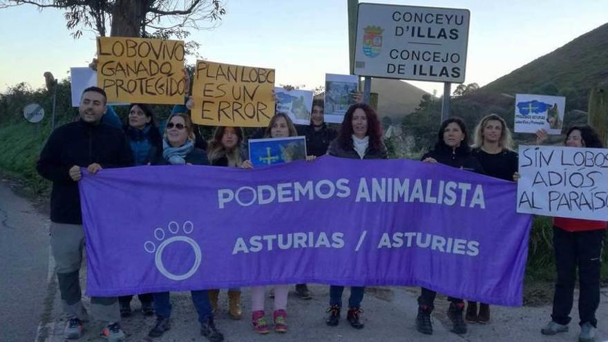 Los defensores del lobo rechazan las batidas en Illas