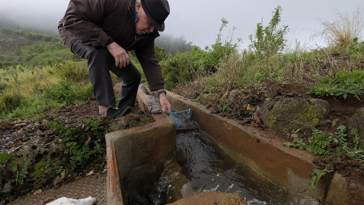 El señor Paco Báez, controlando la acequia que da riego a sus cultivos de mil sacos de papas en Osorio.