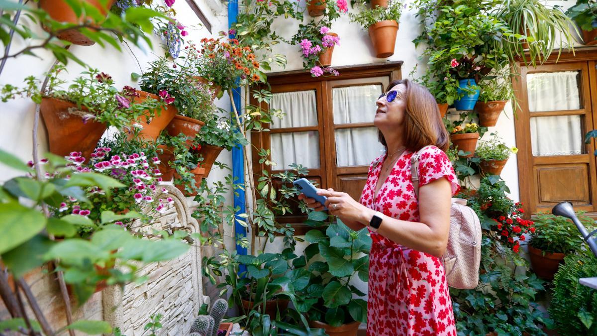 El colorido de las flores y el cuidado de las plantas, son uno de los elementos característicos del patio cordobés.