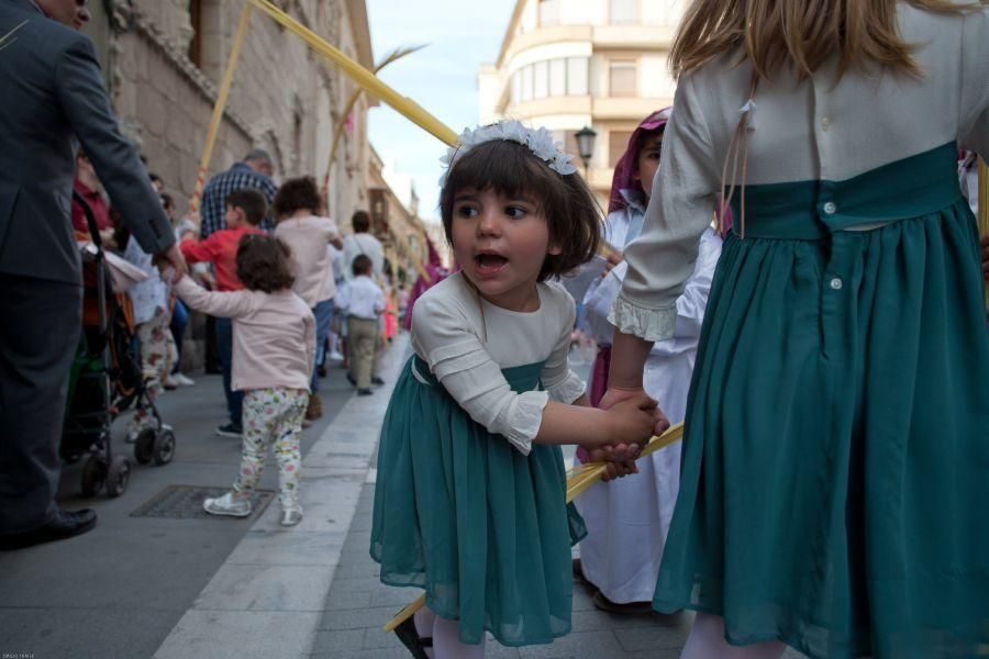 Semana Santa en Zamora: La Borriquita