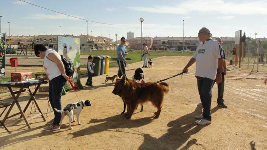 El parque Universidad cuenta con una nueva deportiva y otra de esparcimiento canino.