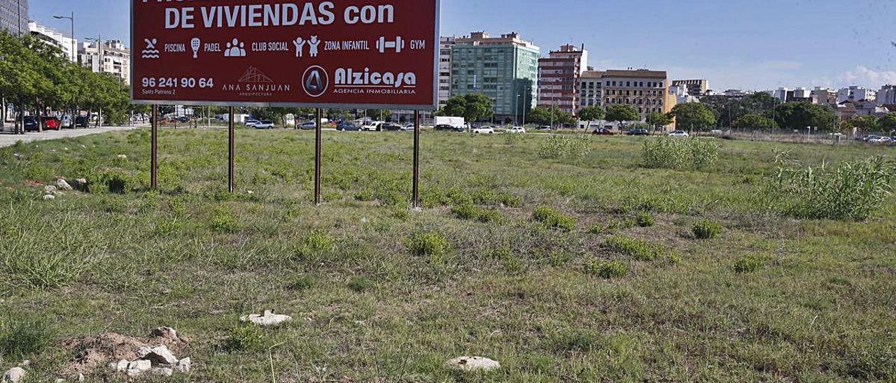 Una promotora rompe            11 años de inactividad en el barrio fantasma de Alzira