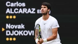 Alcaraz, en la final de Wimbledon ante Djokovic