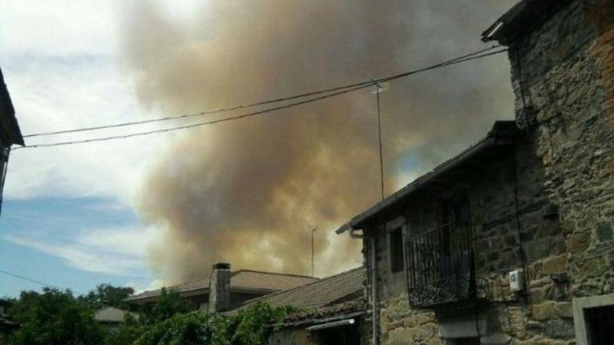 Un incendio forestal quema monte bajo y pinares en Figueruela de Arriba