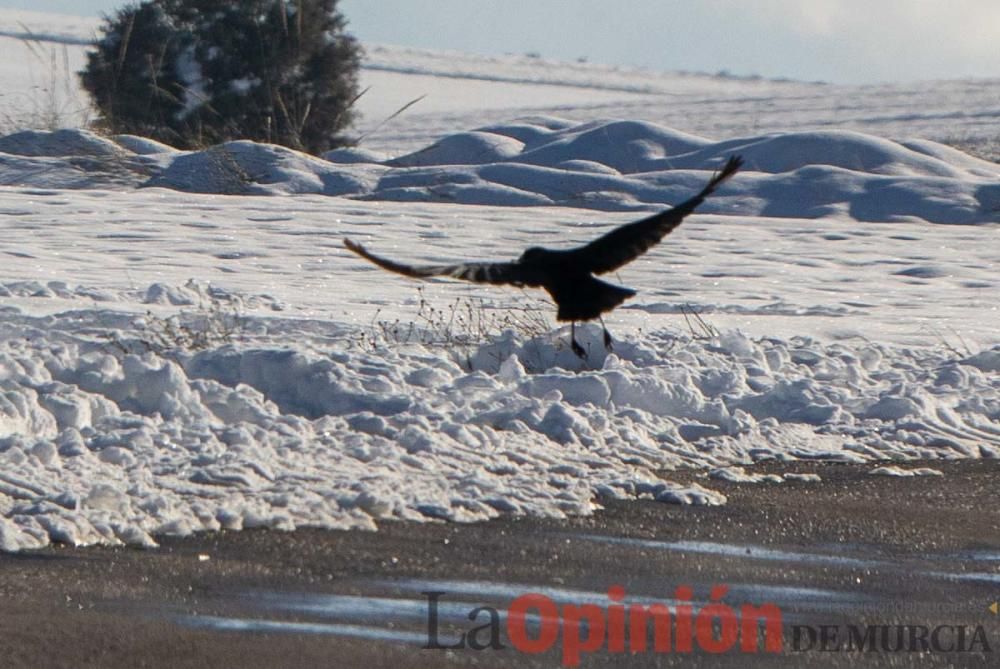 La nieve sigue siendo protagonista en el Noroeste