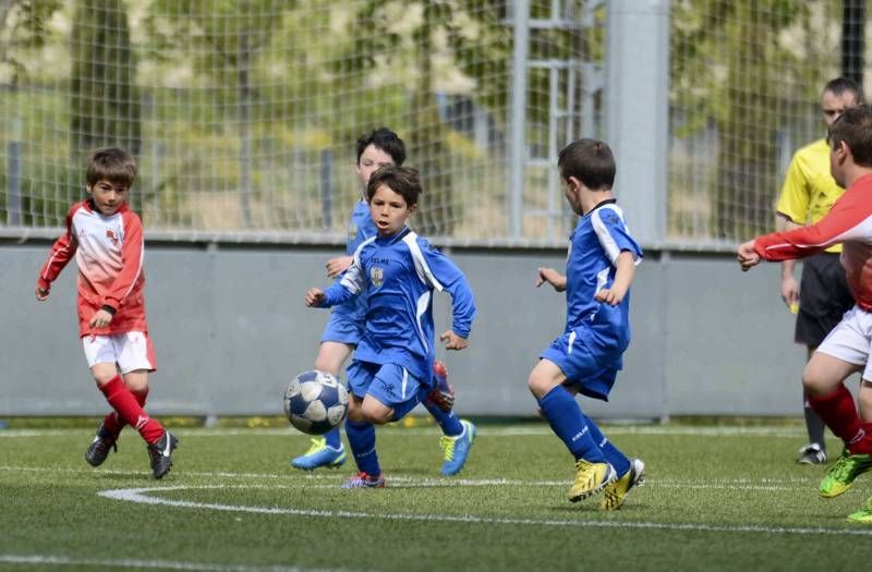 FÚTBOL: Hernán Cortés - Giner (Prebenjamín grupo 3)