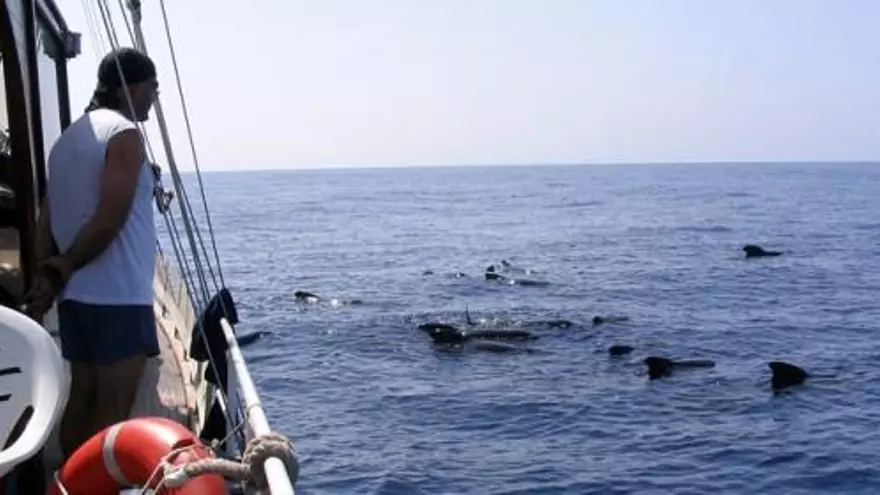 Mazarrón, una ventana al mediterráneo