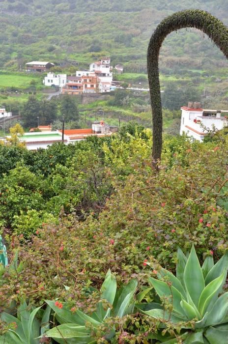 LLUVIA Y FRIO MEDIANIAS Y CUMBRE