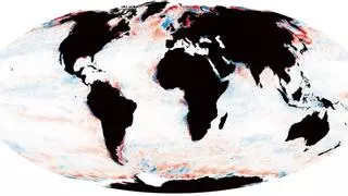 Sorpresa científica: los océanos del mundo se están oscureciendo