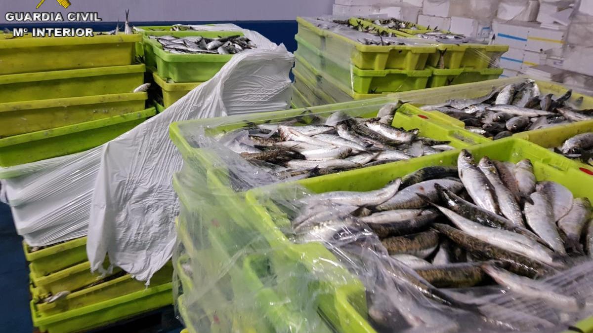 Parte de las cajas de pescado incautadas