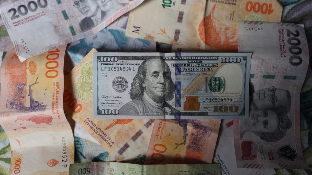 Milei allana a los argentinos el uso de los dólares guardados "bajo el colchón"