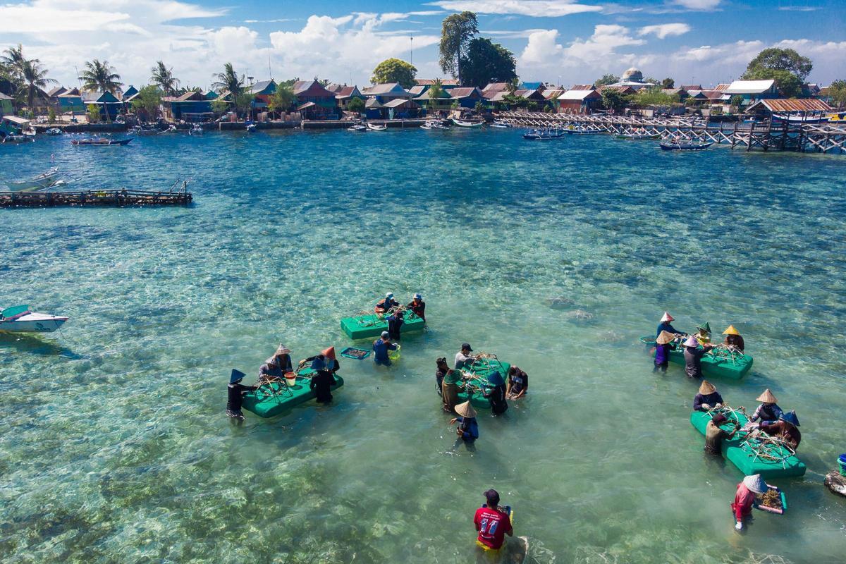 Las comunidades de Indonesia trabajan con Mars Sustainable Solutions para restaurar el coral utilizando Reef Stars.