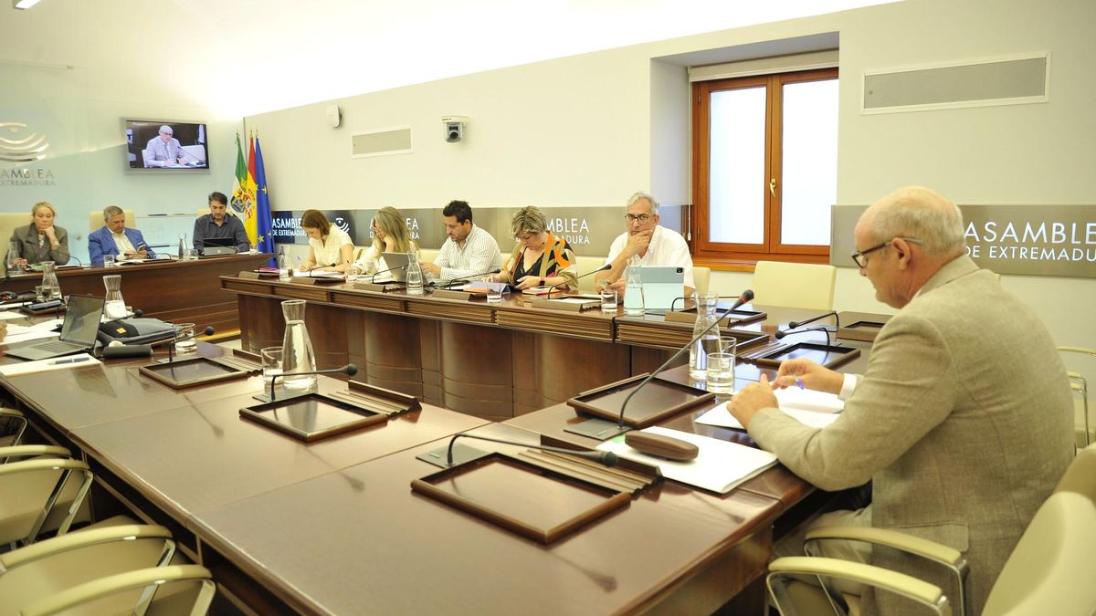 El secretario de la consejería, F. Eugenio Pozo, durante su comparecencia en la Comisión de Educación, ayer.