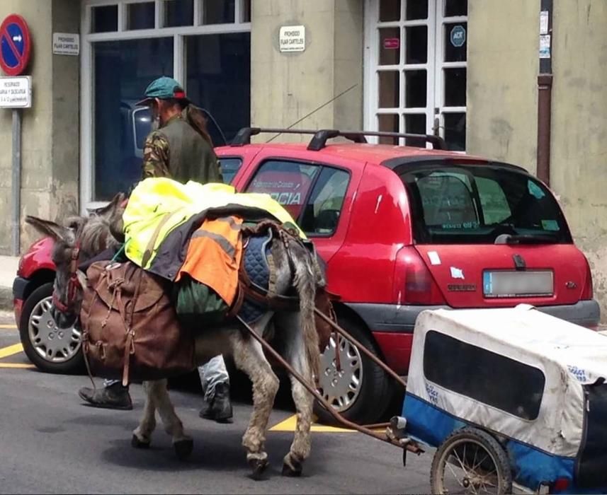 El burro pasando por Luarca