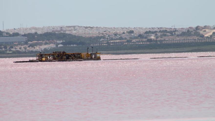 La Audiencia rechaza un recurso municipal para restar protección a las lagunas