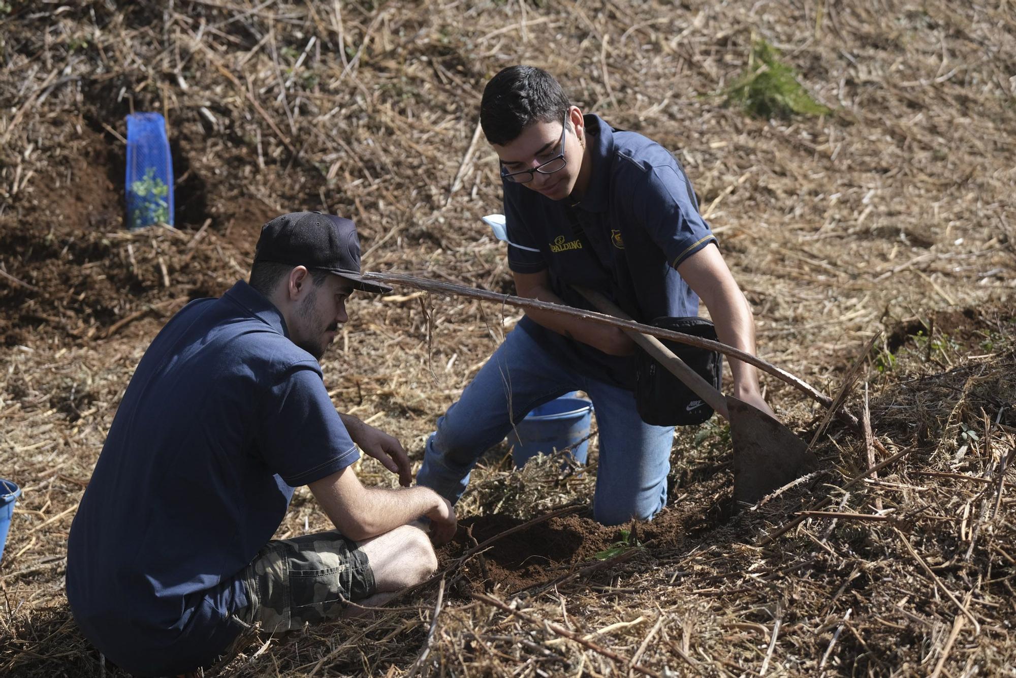 Reforestación Compromiso Granca