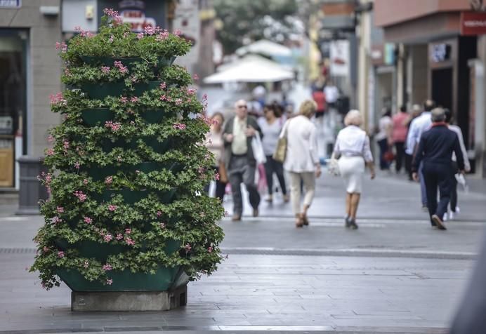 LAS PALMAS DE GRAN CANARIA A 04/06/2017. Ambiente dominical en la calle Mayor de Triana de Las Palmas de Gran Canaria. FOTO: J.PÉREZ CURBELO