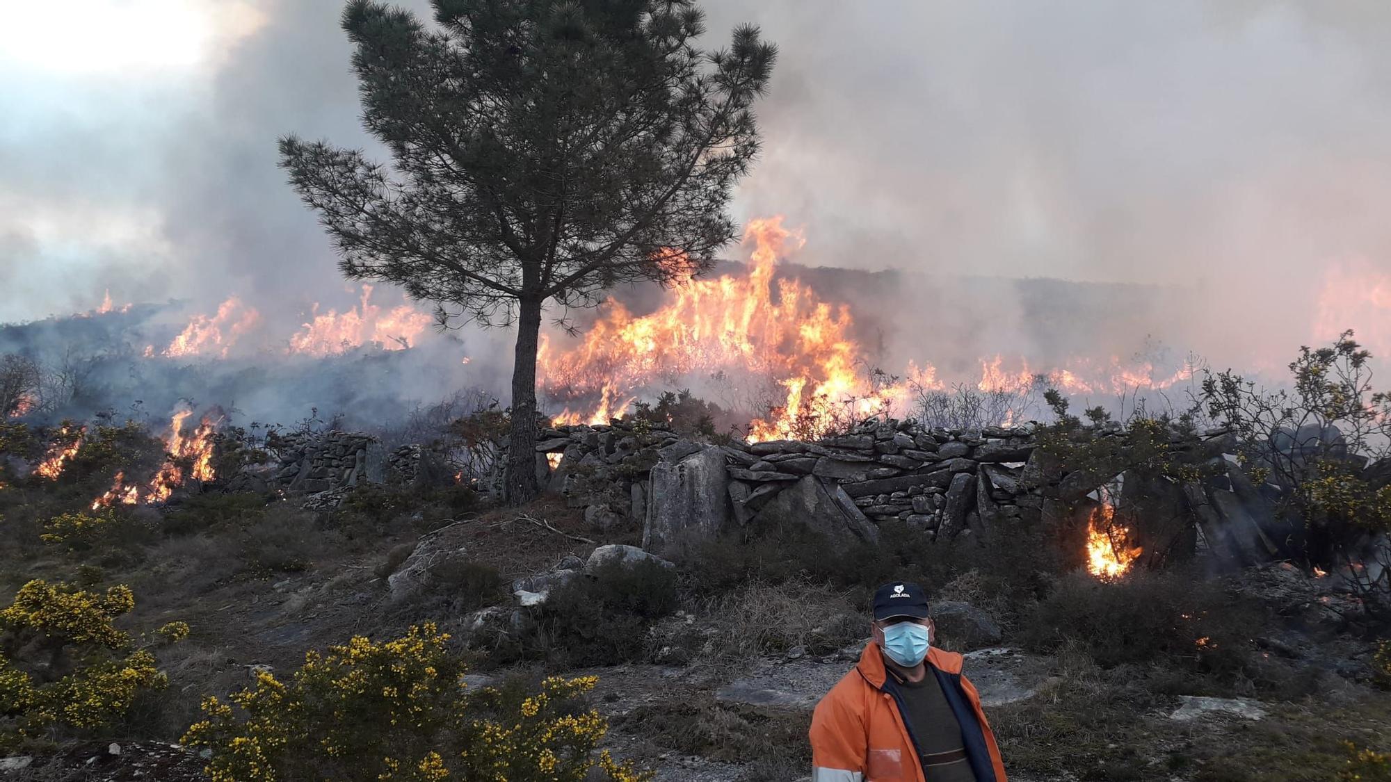 El fuego quemó 20 hectáreas de monte