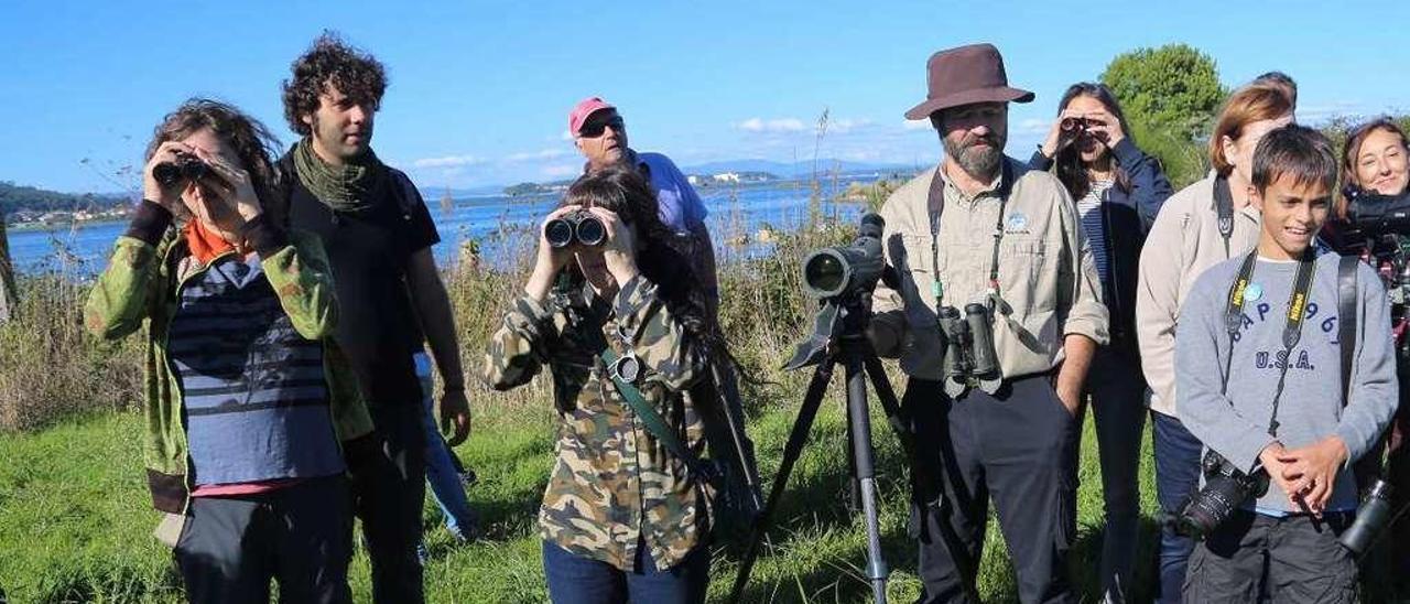 La observación de aves es uno de los alicientes turísticos de O Grove, al fondo. // Muñiz