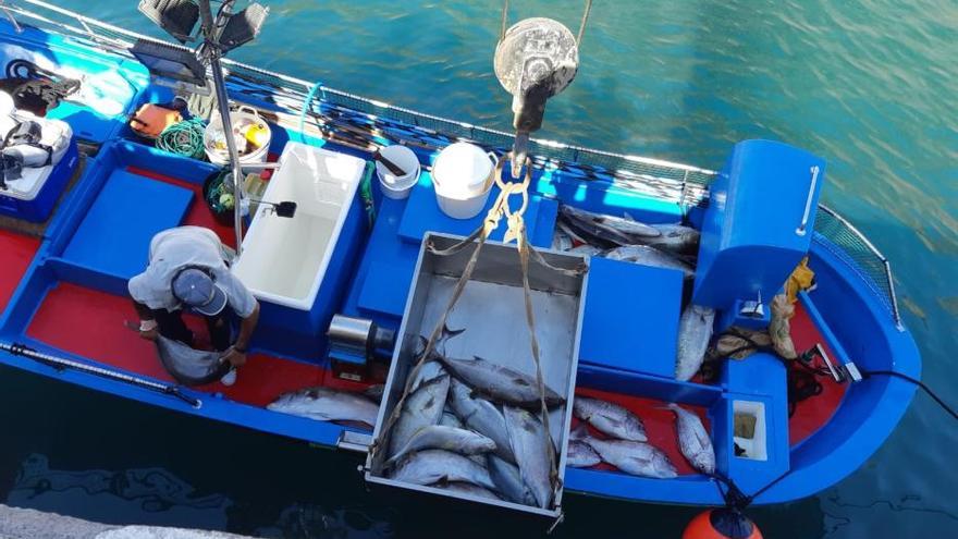 Encuentran una nasa ilegal con 288 kilos de pescado en La Gomera