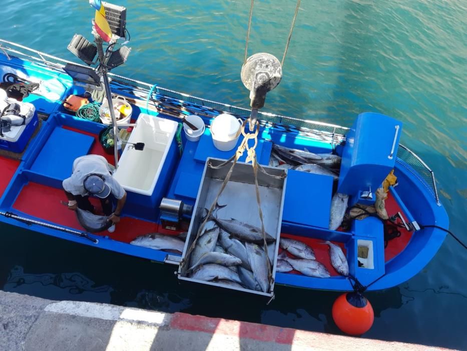 Encuentran una nasa ilegal con 288 kilos de pescado en La Gomera