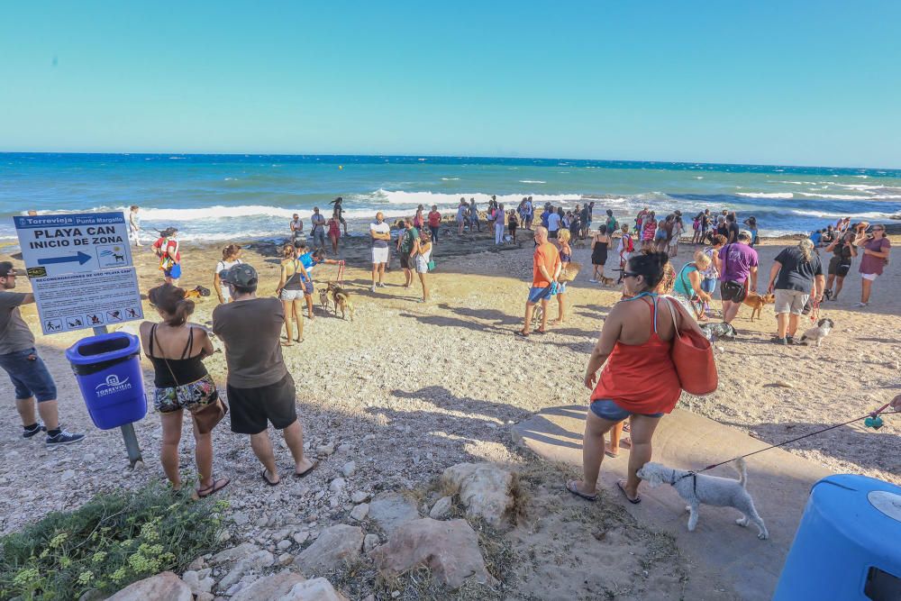 Docenas de usuarios de las playas acompañados de sus perros acudieron a Punta Margallo a pedir respeto y civismo en estos tramos litorales tras los "actos de sabotaje" de las señalizaciones