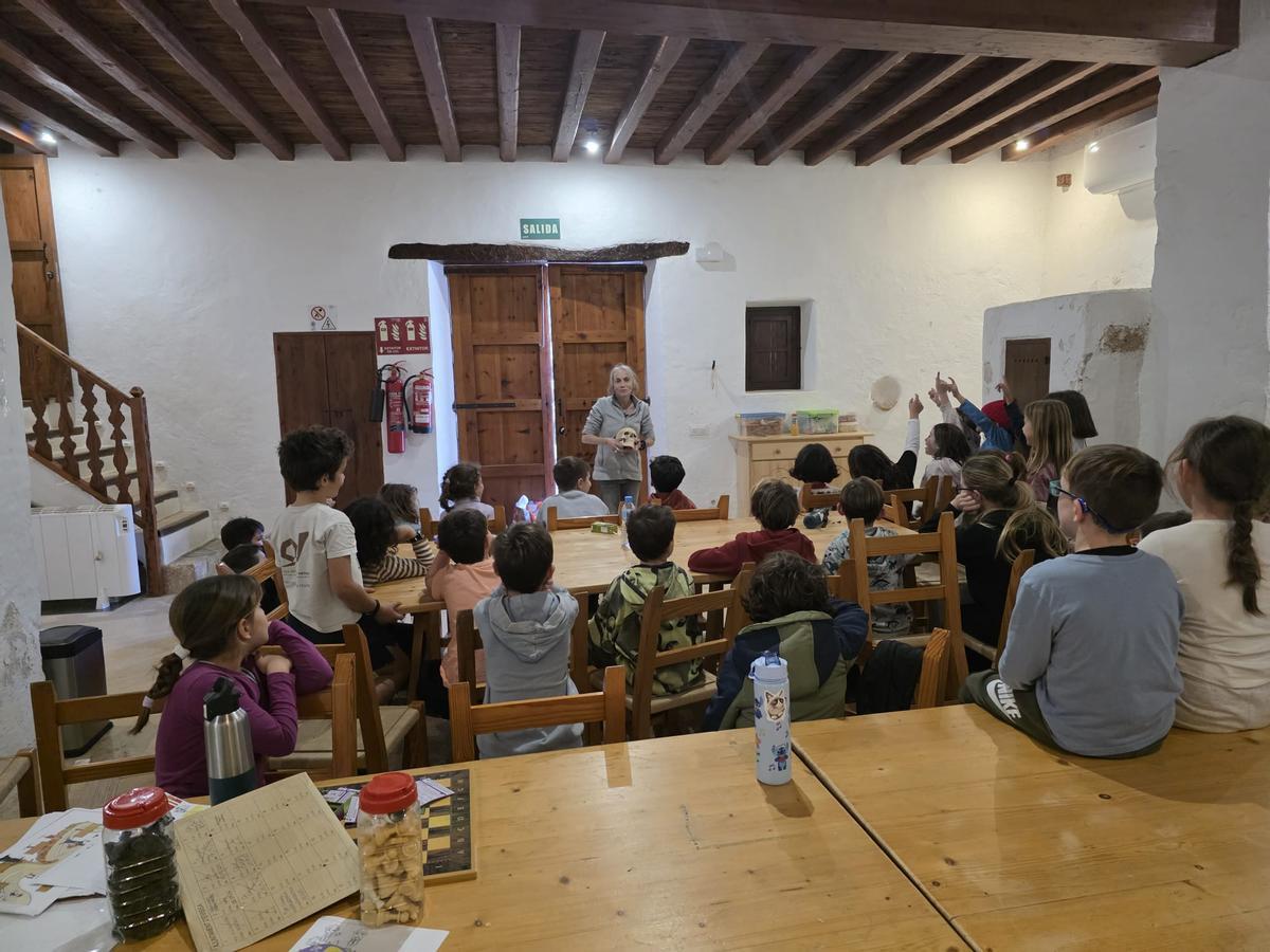 Estas son las imágenes del campamento de arqueología en Can Tomeu, programación Natura
