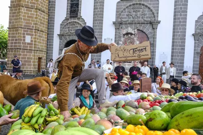 La Romería Ofrenda a la Virgen del Pino en Teror 2026, en imágenes