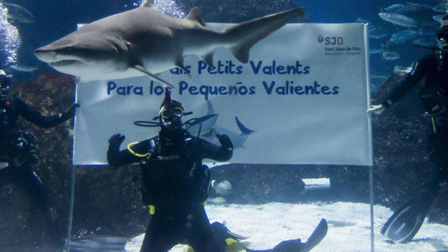 Antonio Orozco se adentra en un acuario con tiburones.