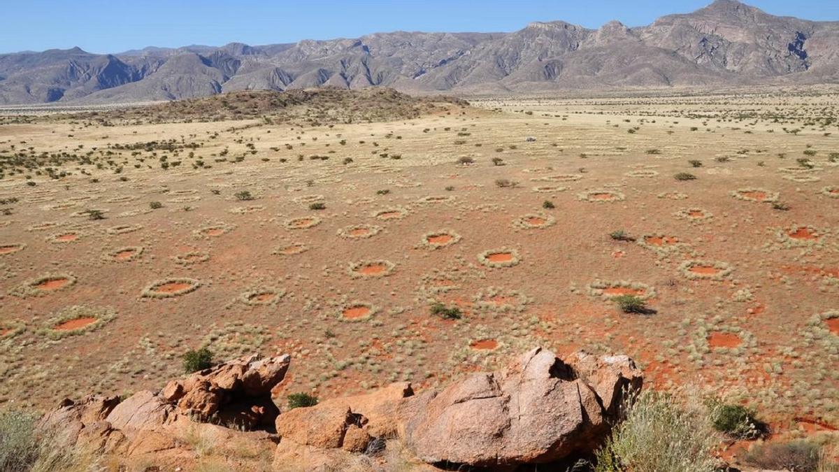 Círculos de hadas en una zona desértica