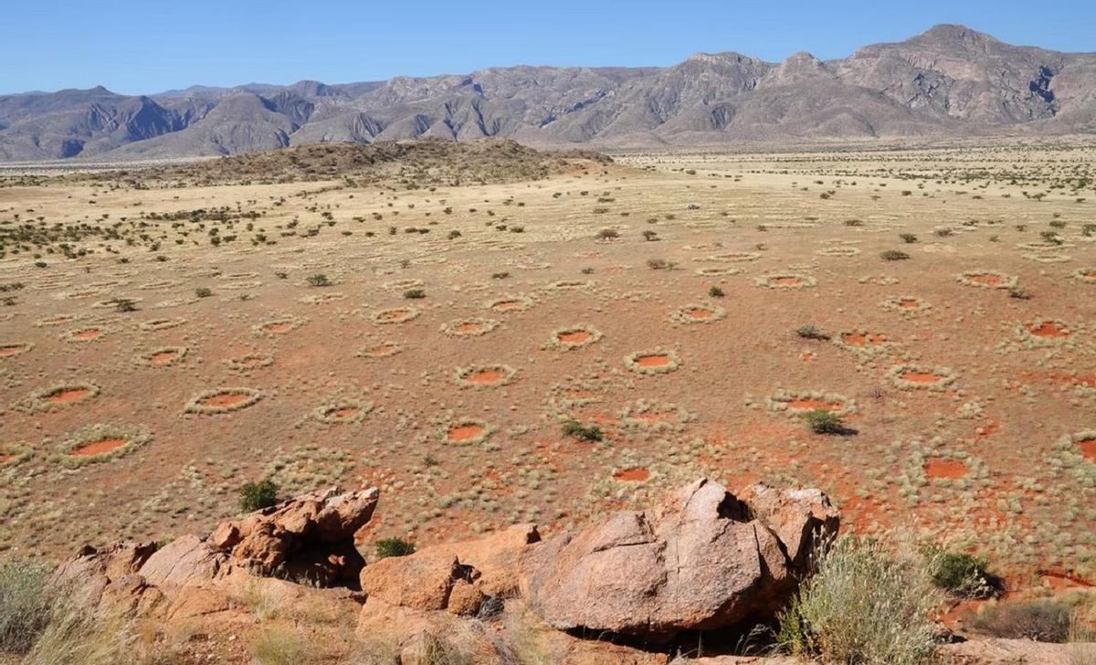 Círculos de hadas en una zona desértica