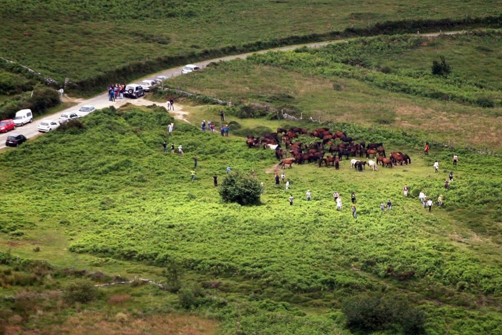 Diferentes grupos de personas fueron tratando de reunir a los caballos de los montes vecinos y conducirlos hasta O Peón