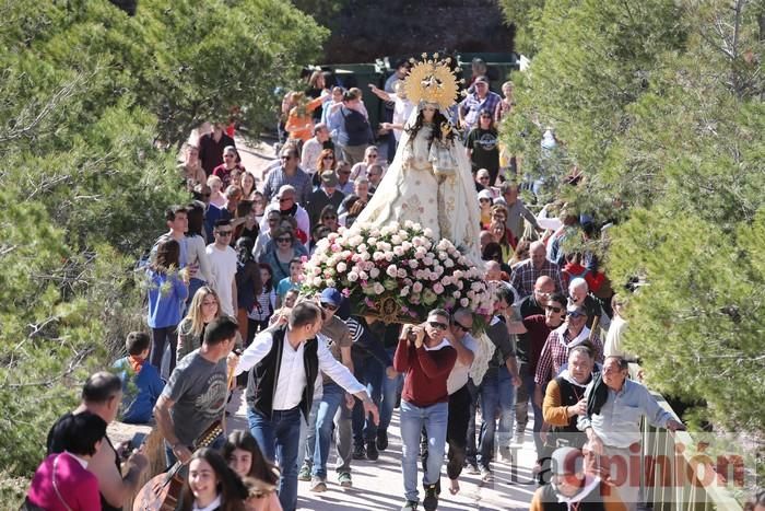 Romería de La Hoya (II)