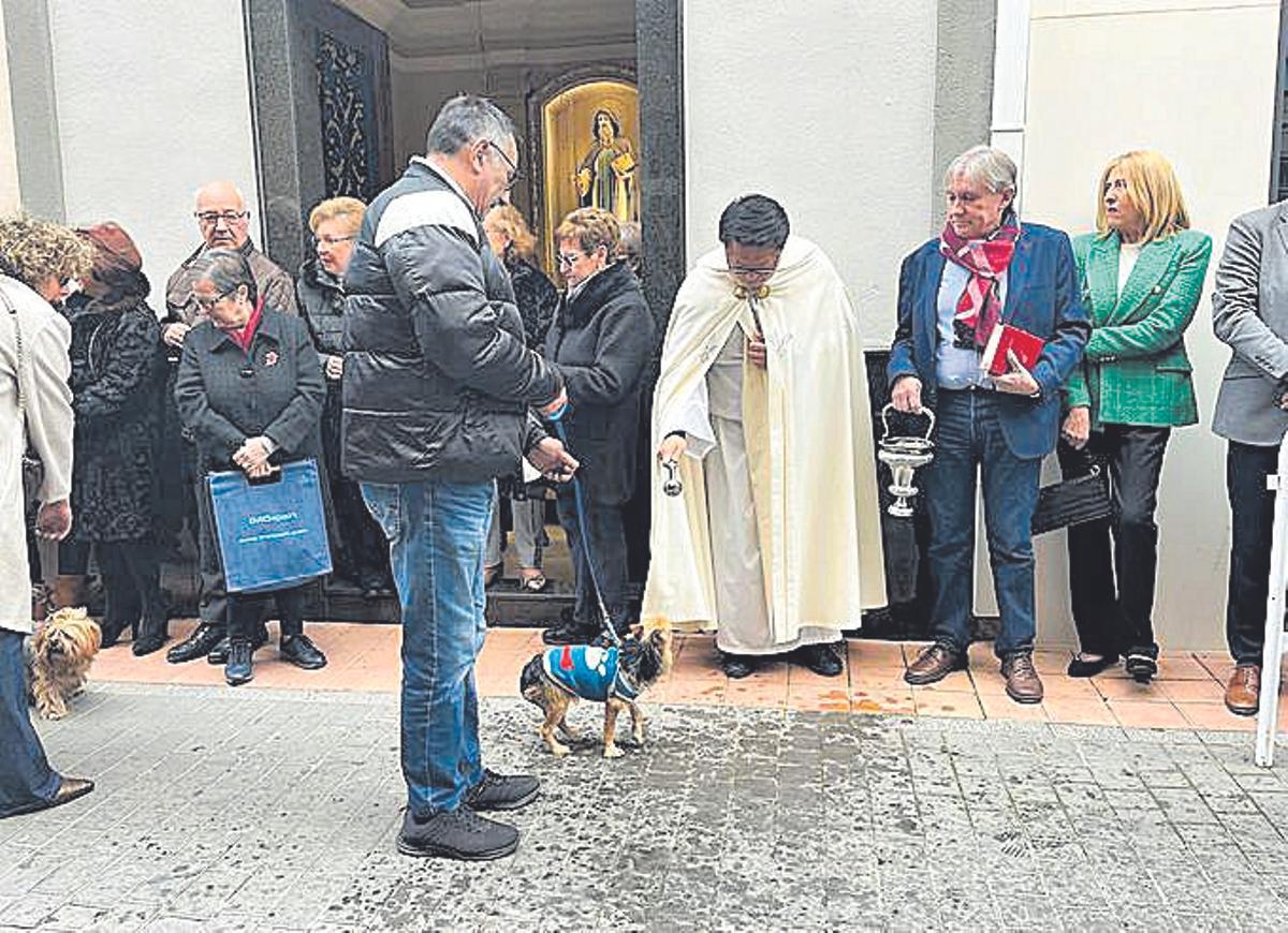 La mayoría de los animales bendecidos fueron perros.