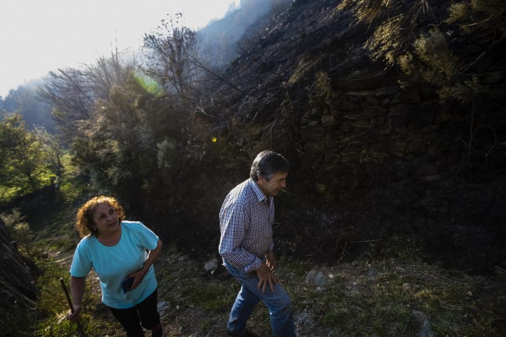 Indendios en Asturias.