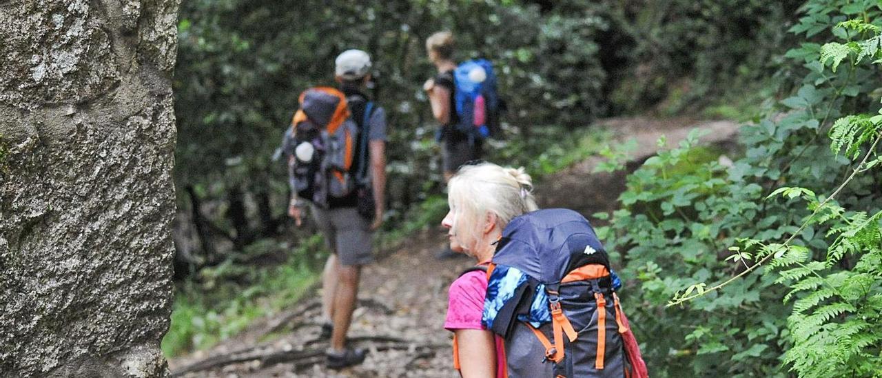 Unos peregrinos recorren la Variante Espiritual, en un tramo de la Ruta da Pedra.  | // IÑAKI ABELLA