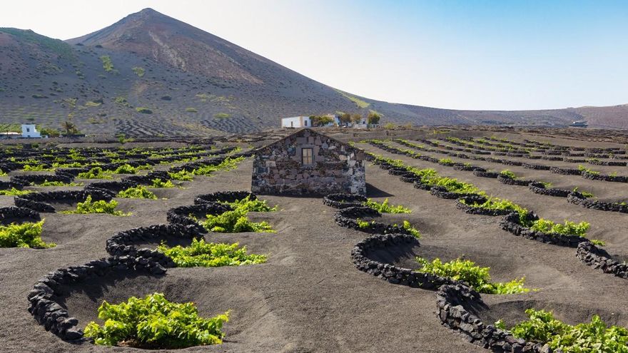 Este es el vino de Canarias que ha conquistado uno de los premios más prestigiosos del mundo