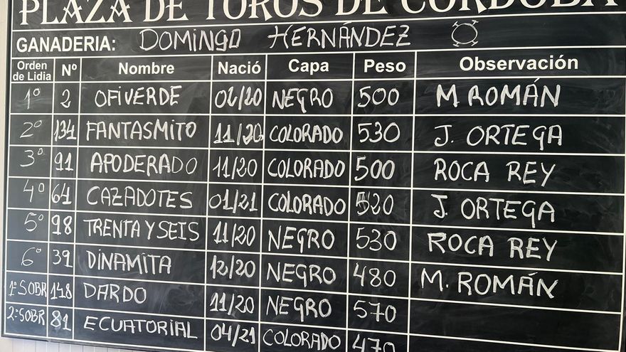 &#039;Ofiverde&#039;, de Domingo Hernández, toro de la alternativa de Manuel Román en la Feria de Córdoba
