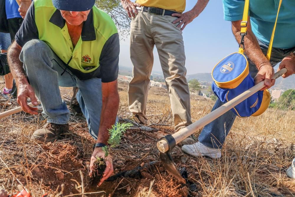 La Tercera Edad participa en la plantación de un centenar de árboles