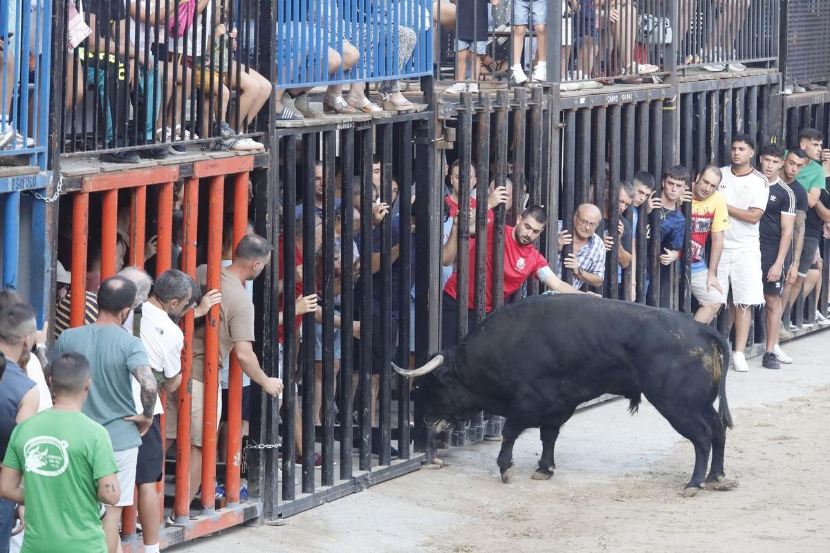 El morlaco de la tarde ha embestido incluso a los cadafals.