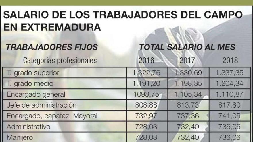 El salario fijo en el campo extremeño subirá 18 euros  al mes y el eventual 84 céntimos al día