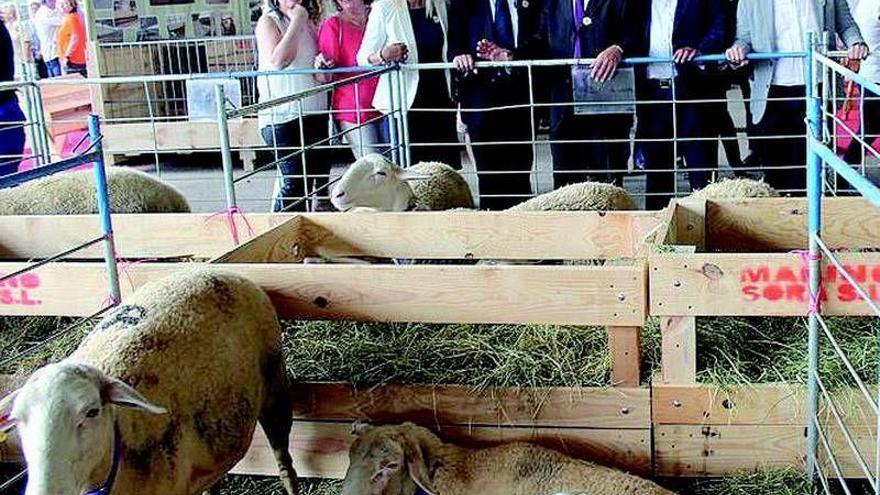 Miles de personas acuden a la feria industrial y ganadera