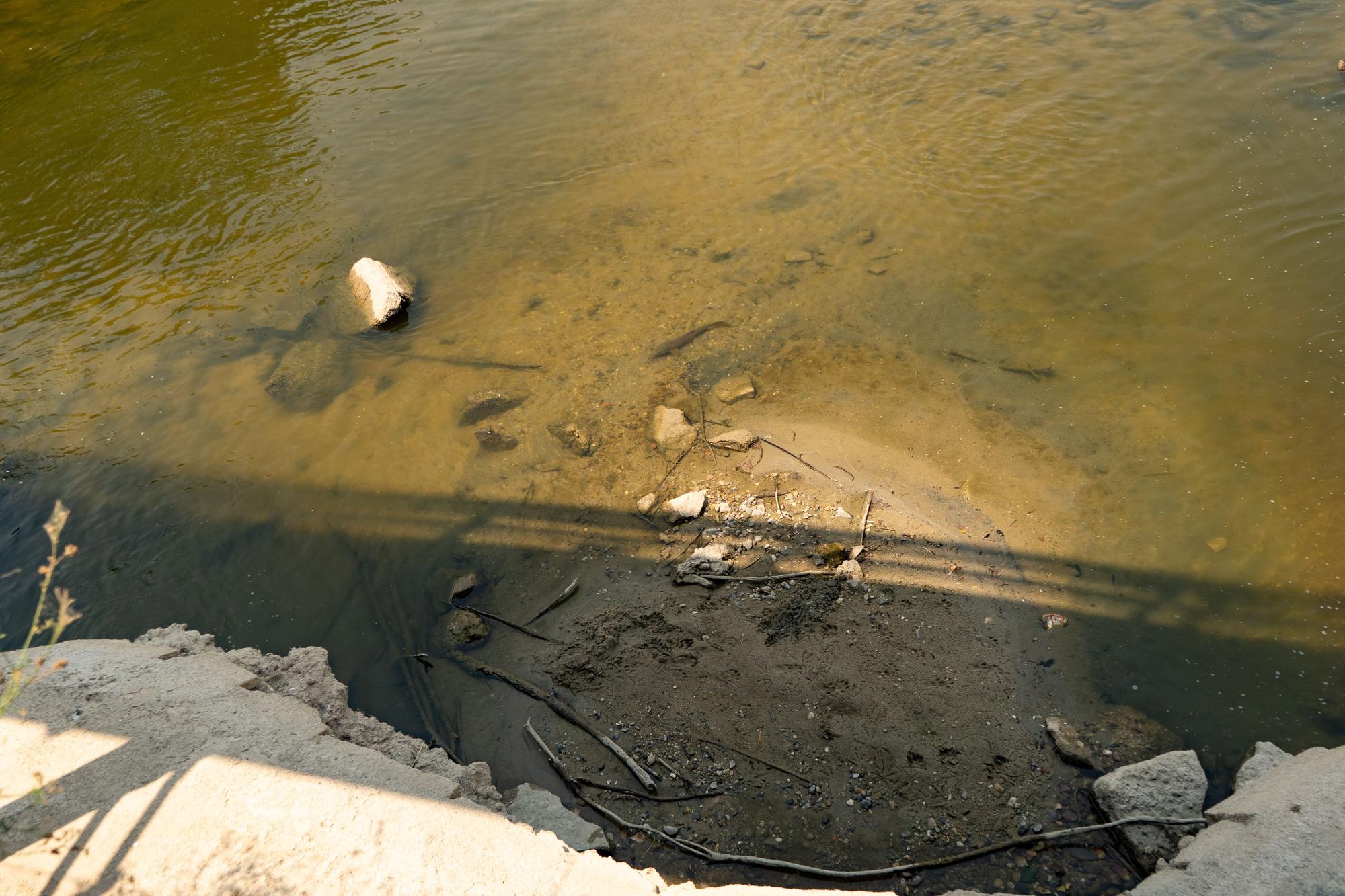 El caudal del río Duero en Zamora, por debajo del nivel ecológico