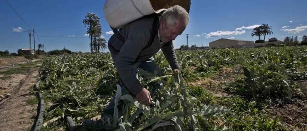 El agua y la crisis impulsan el campo