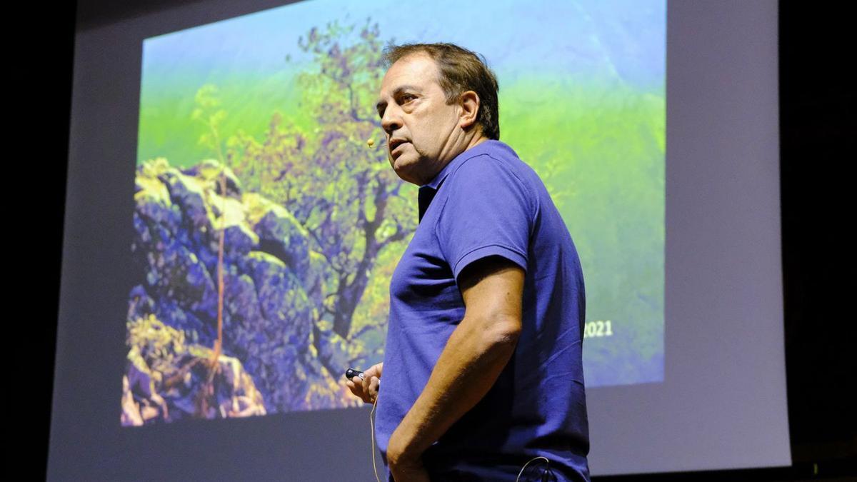 Rafael Almeida, durante su conferencia en las Jornadas Forestales de Gran Canaria. | | ANDRÉS CRUZ