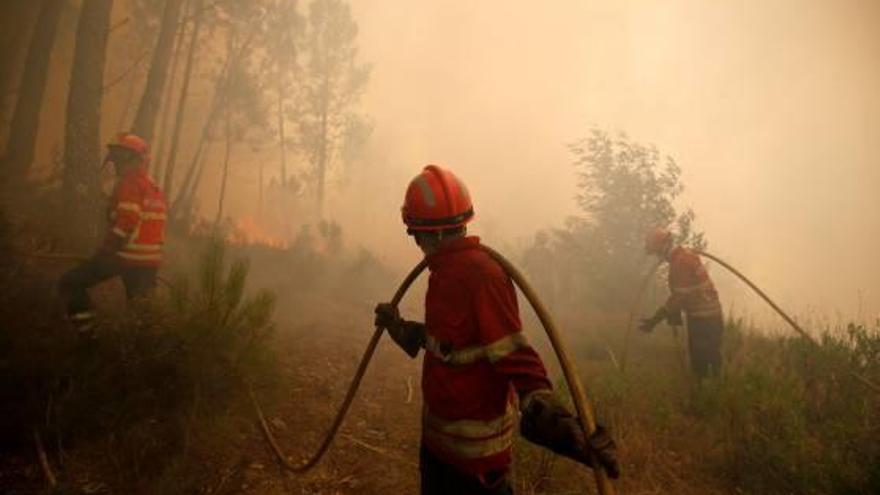 Els bombers fa diversos dies que lluiten contra el gran incendi.