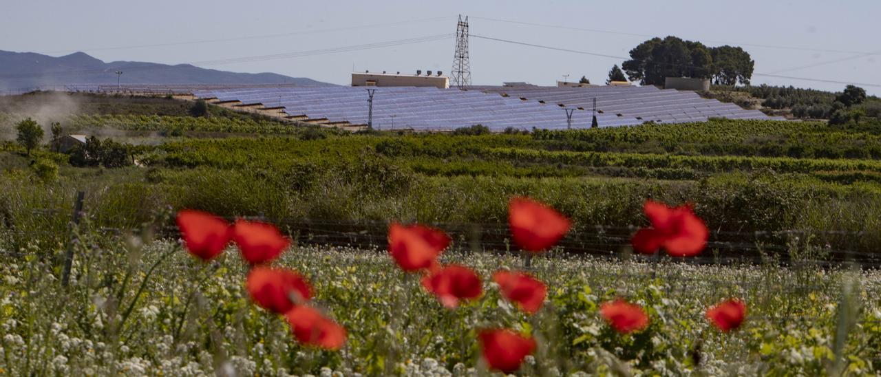 Instalación fotovoltaica ya instalada en la localidad de Bèlgida, en una imagen de archivo.