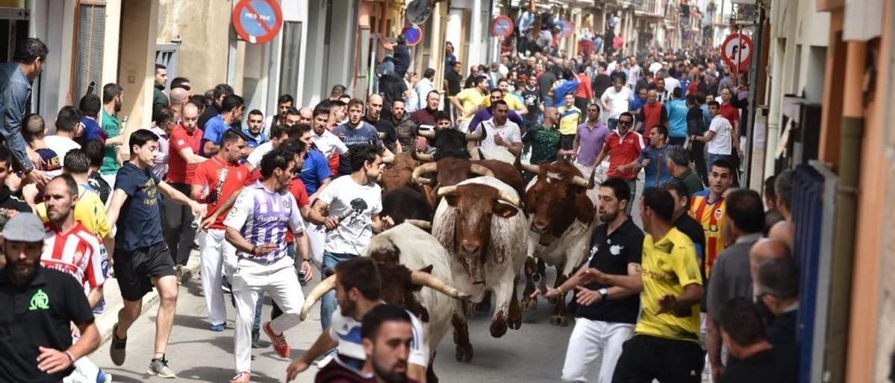 Imagen del primer evento taurino de las fiestas de Santa Quitèria 2019.